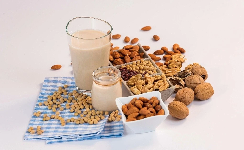 Sữa hạt – Xu hướng dinh dưỡng lành mạnh cho cả gia đình