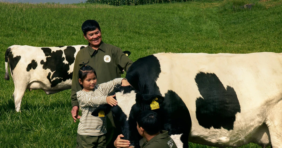 Mộc Châu - “Vành đai vàng sữa” miền Bắc