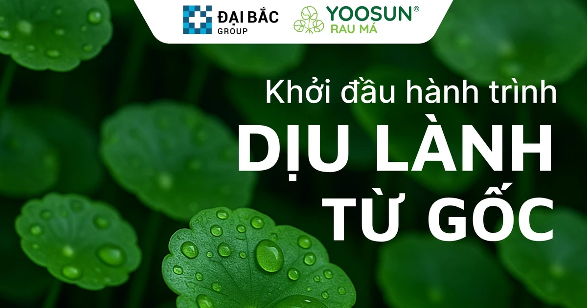 Từ cây rau má nhỏ xinh đến các sản phẩm chăm sóc da 'quốc dân' của người Việt