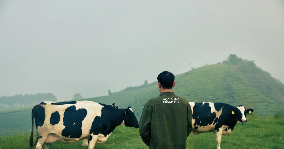 Hành trình Mộc Châu Creamery giữ trọn tinh hoa Việt