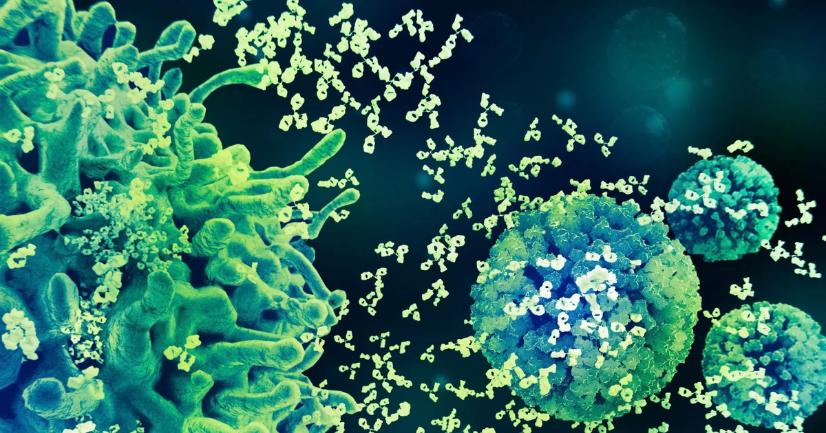 Ba chiến lược trụ cột về phòng ngừa HPV, khi Việt Nam hòa nhịp cùng khuyến cáo toàn cầu