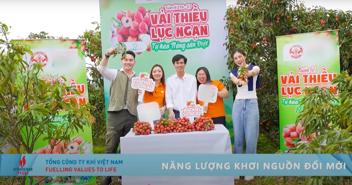 Hành trình kết nối xanh: Mùa vải đã về
