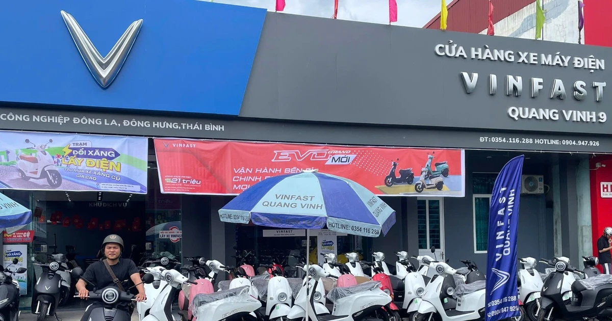 Chủ đầu tư 10 đại lý xe máy điện VinFast: 'Bán hơn 1.000 xe/tháng, doanh số gấp nhiều lần thương hiệu khác'