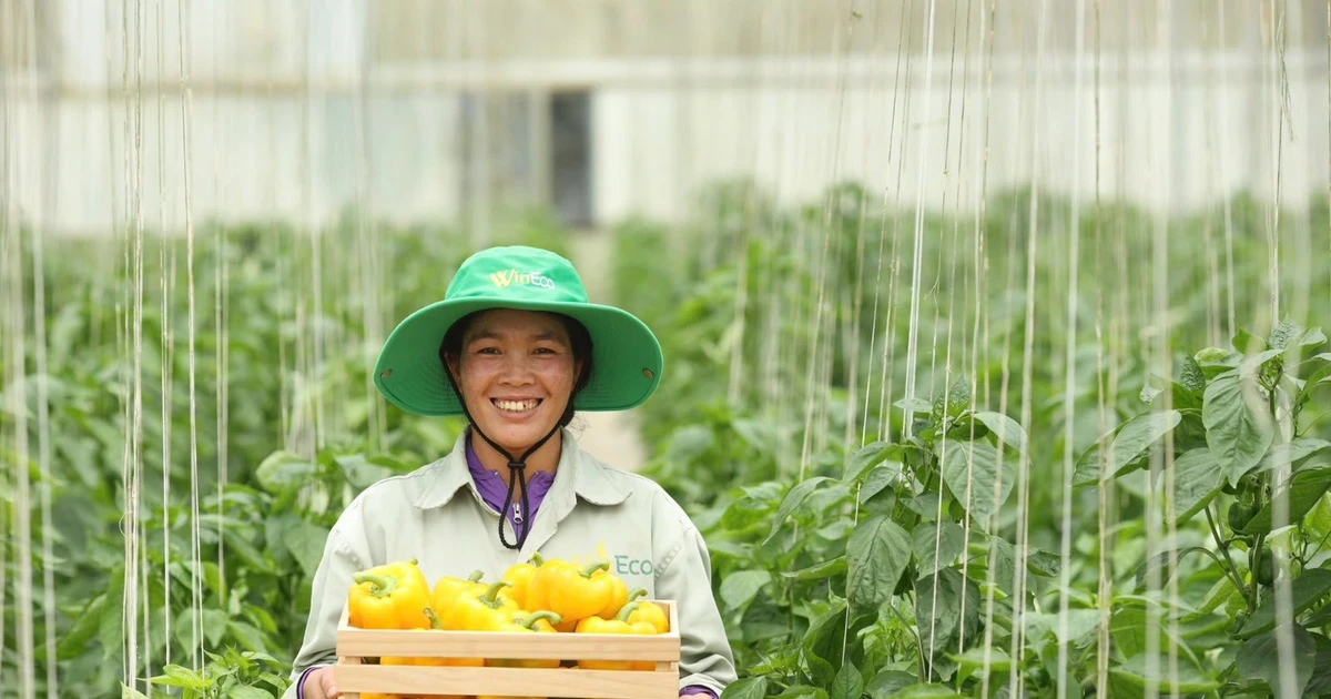 Masan tham gia triển lãm 80 năm ngành Nông nghiệp và Môi trường