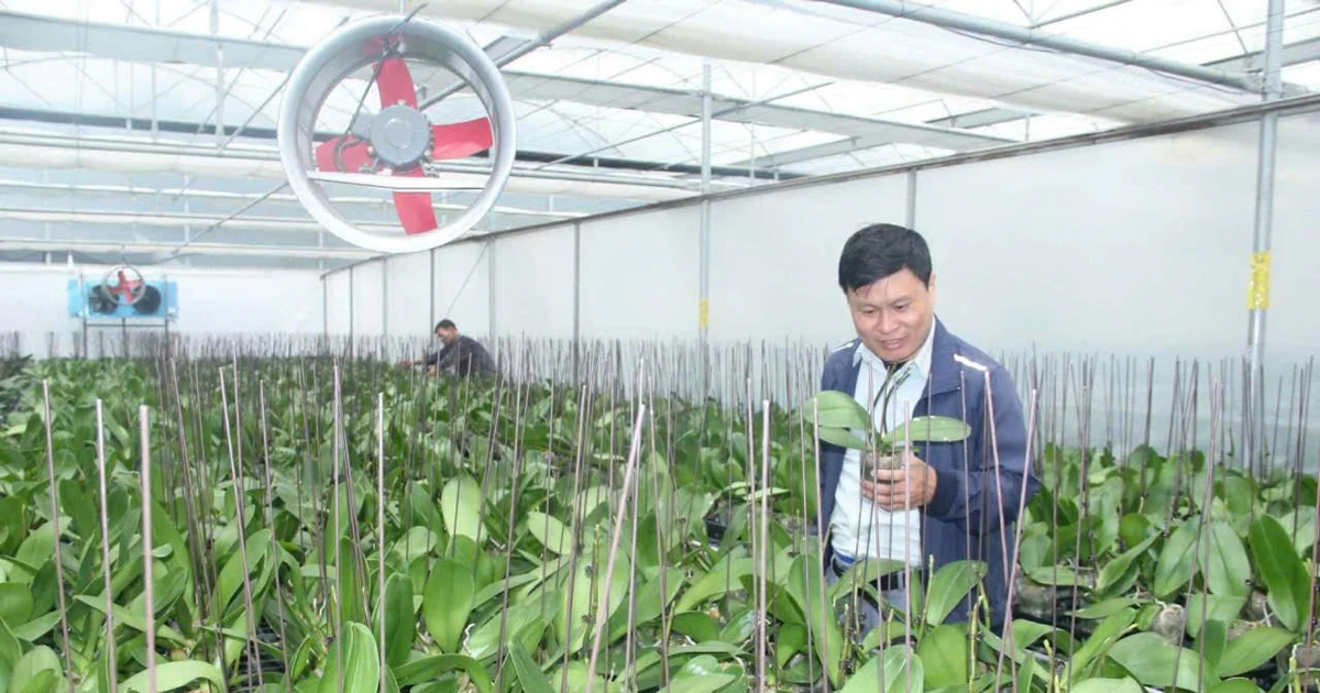 Thanh Hóa: Nông nghiệp công nghệ cao hướng đến tăng trưởng xanh và bền vững