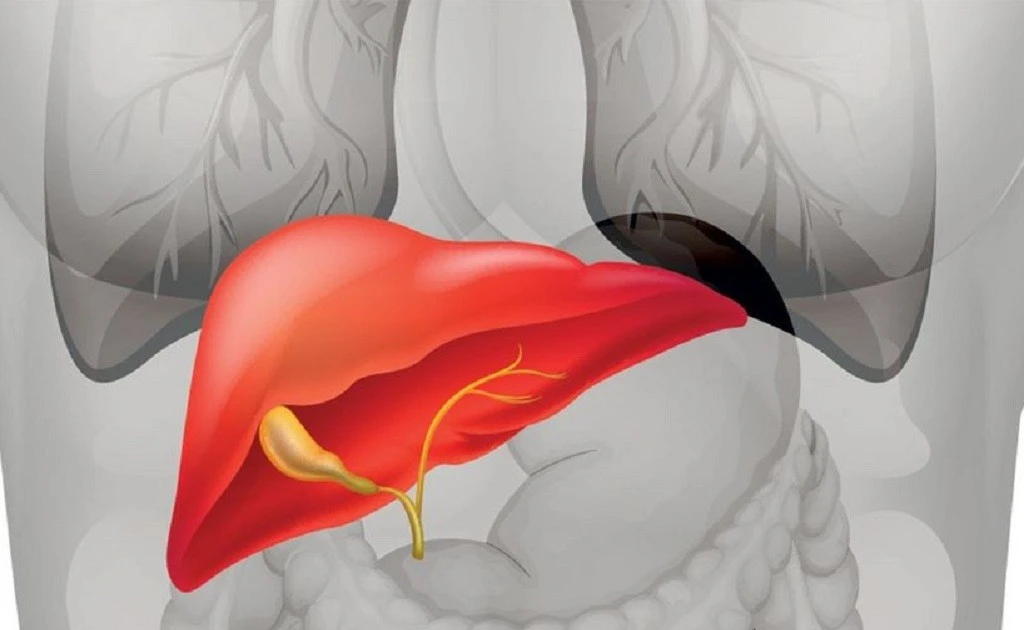 TPBVSK Healthy Care Super Lecithin 1200mg: Hỗ trợ gan khỏe, tăng cường chuyển hóa