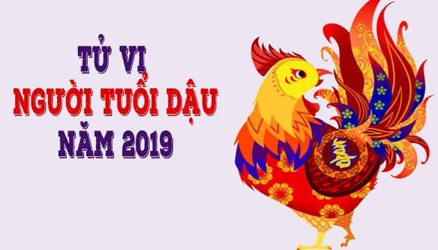 XEM TỬ VI TUỔI QUÝ DẬU NĂM 2019 NAM MẠNG 1993 CHI TIẾT VỀ VẬN HẠN