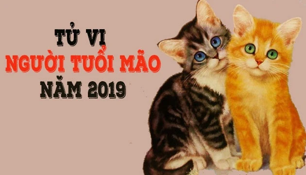TỬ VI 2019 TUỔI MÃO