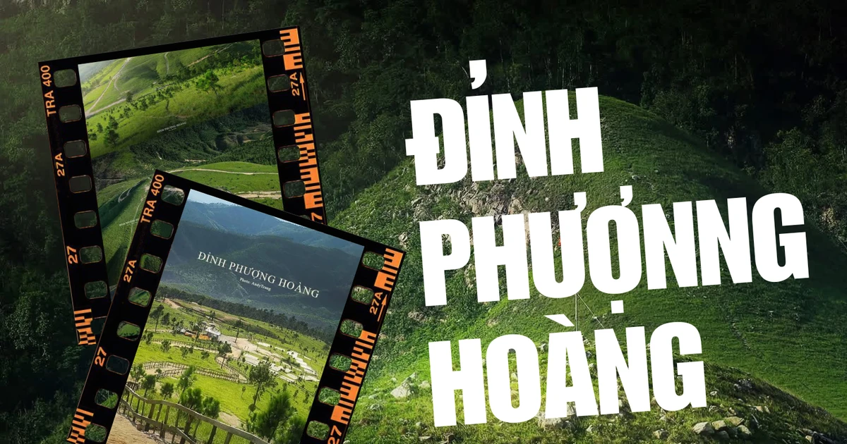 Đỉnh Phượng Hoàng mùa cỏ xanh "tuyệt đối điện ảnh", nạp năng lượng "cực chill"