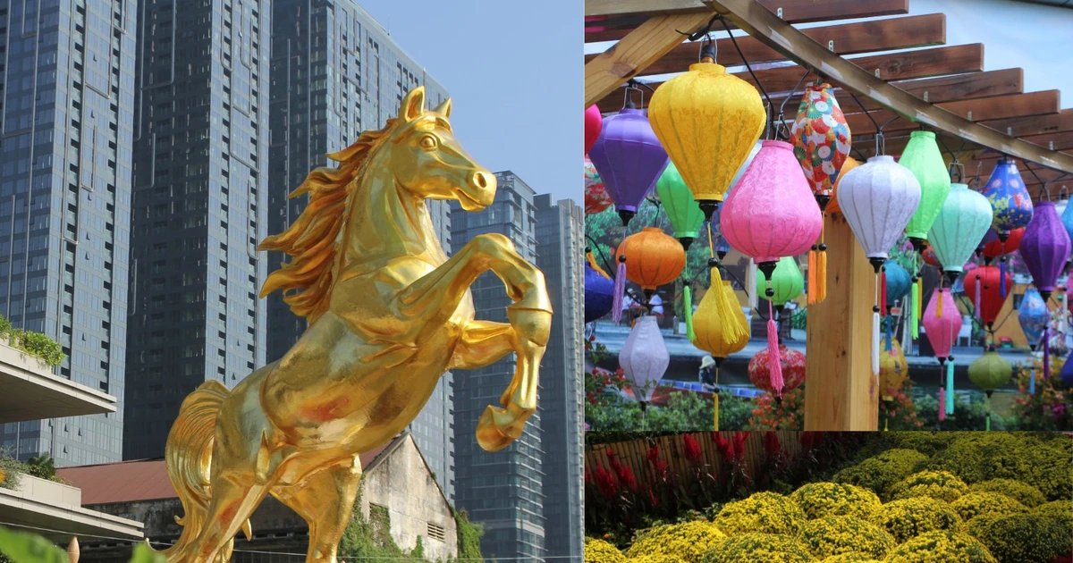 Du Xuân Bính Ngọ: Ghé những vườn hoa mới mở tại TP.HCM cùng gia đình, bạn bè