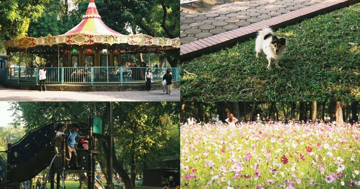 Vì sao Công viên Thống Nhất đang trở thành điểm check-in "gây thương nhớ"?