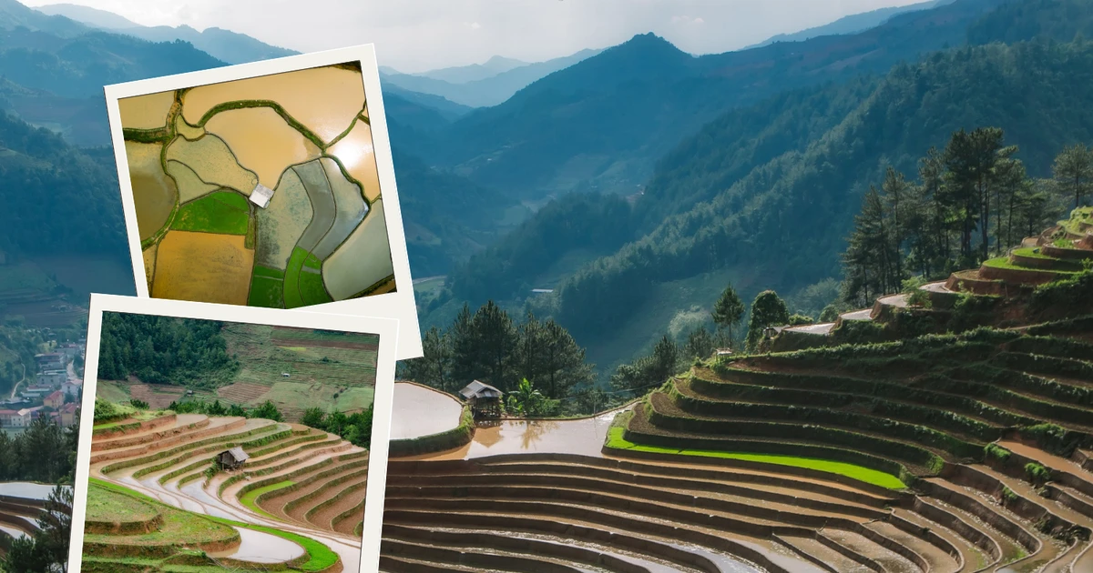 Mù Cang Chải mùa nước đổ: Ruộng bậc thang hóa bức tranh ánh gương lấp lánh
