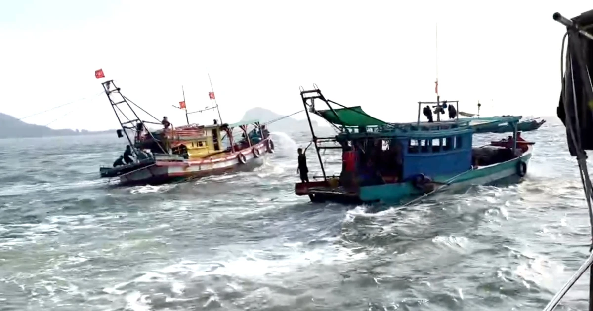 Tàu cá '3 không' bao vây, thách thức lực lượng chức năng trên biển An Giang