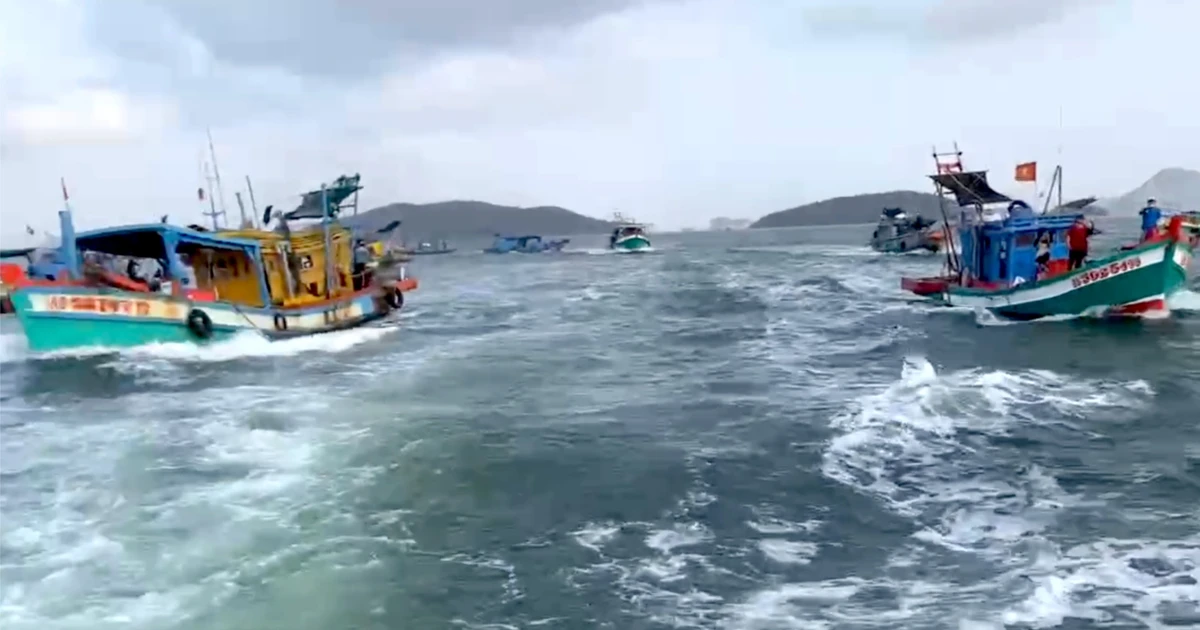 Vụ tàu cá '3 không' quây lực lượng chức năng: Tỉnh An Giang chỉ đạo xử lý