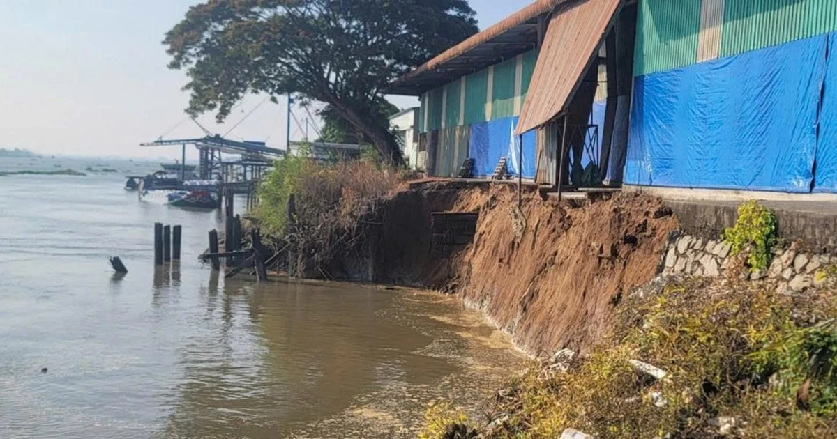 Sạt lở bờ sông Hậu dài 50m, khoét sâu 15m