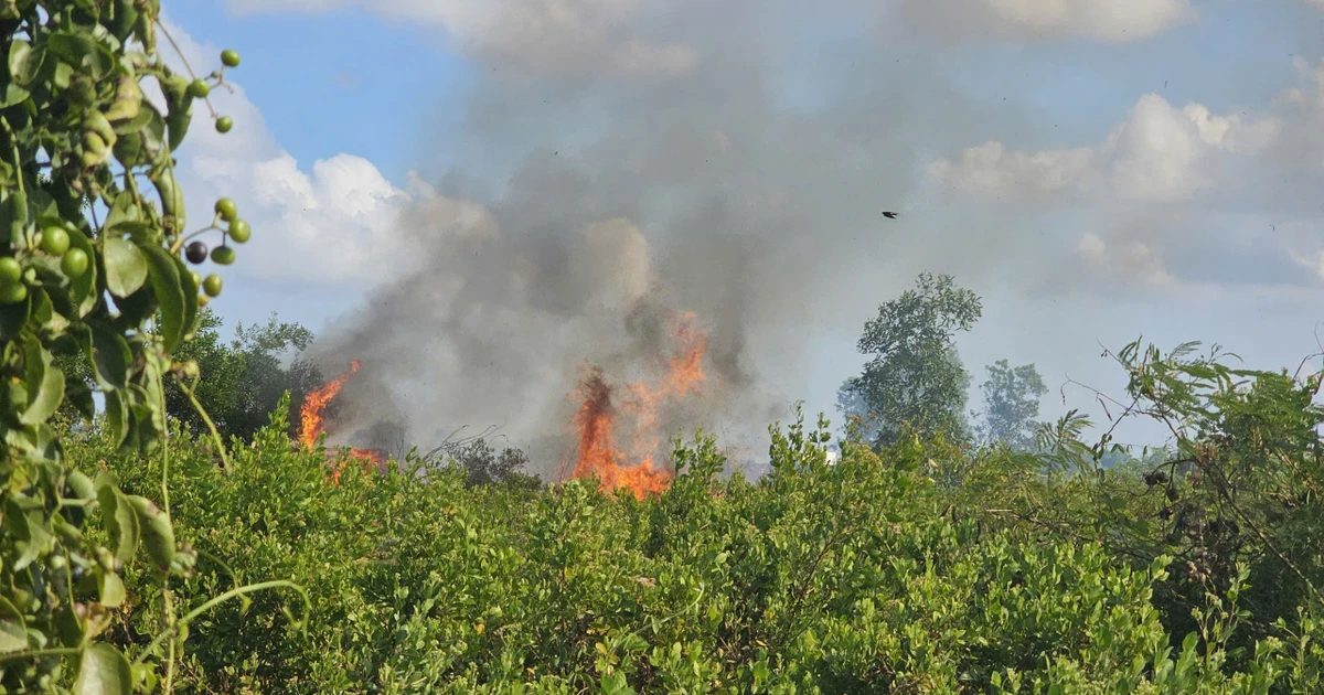 Đốt cỏ gây cháy lớn ở Cần Thơ