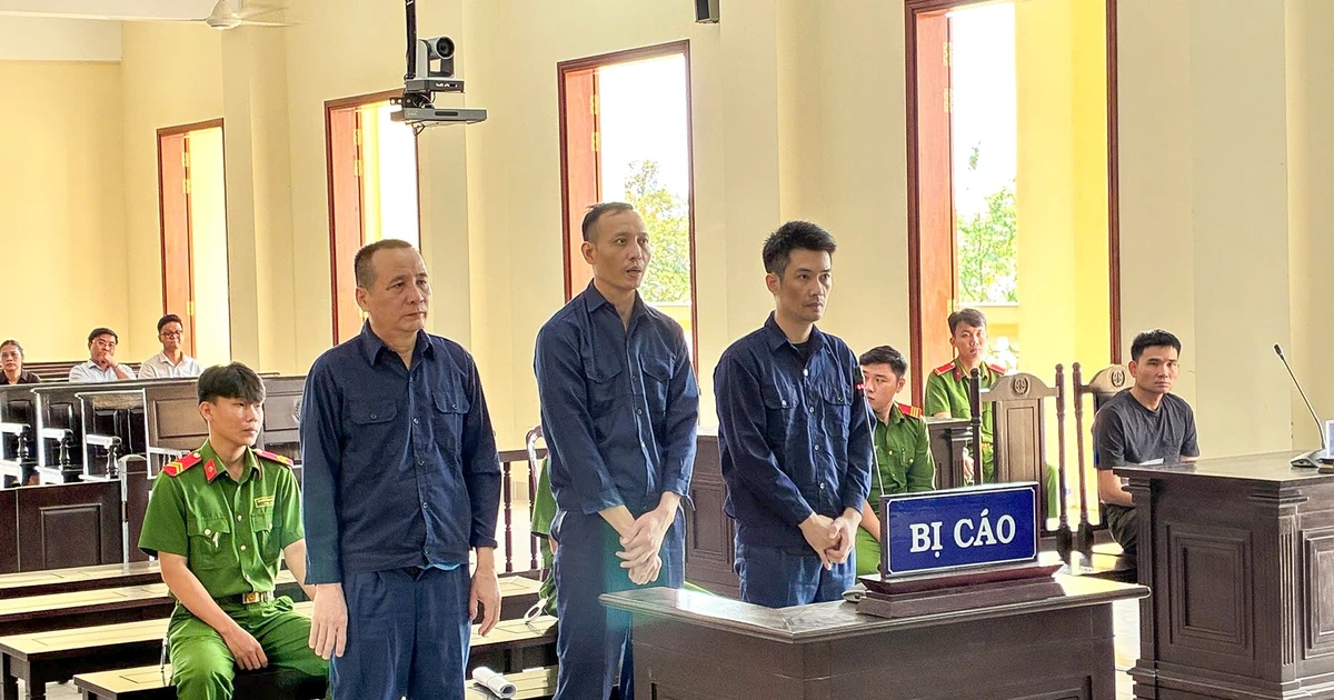 Cựu Chủ tịch, Tổng Giám đốc Công ty CP Xây dựng hạ tầng KCN Cần Thơ hầu tòa