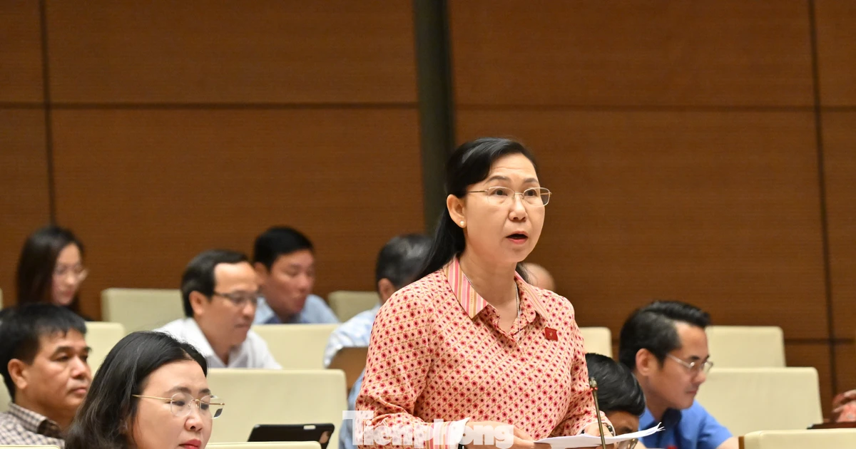 Cán bộ, công chức trở thành luật sư công, có cần qua tập sự?