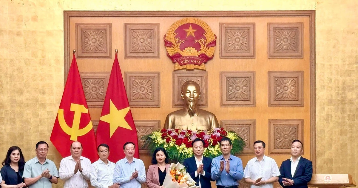 Phó Bí thư Đảng ủy Chính phủ Nguyễn Thị Tuyến nhận thêm nhiệm vụ mới