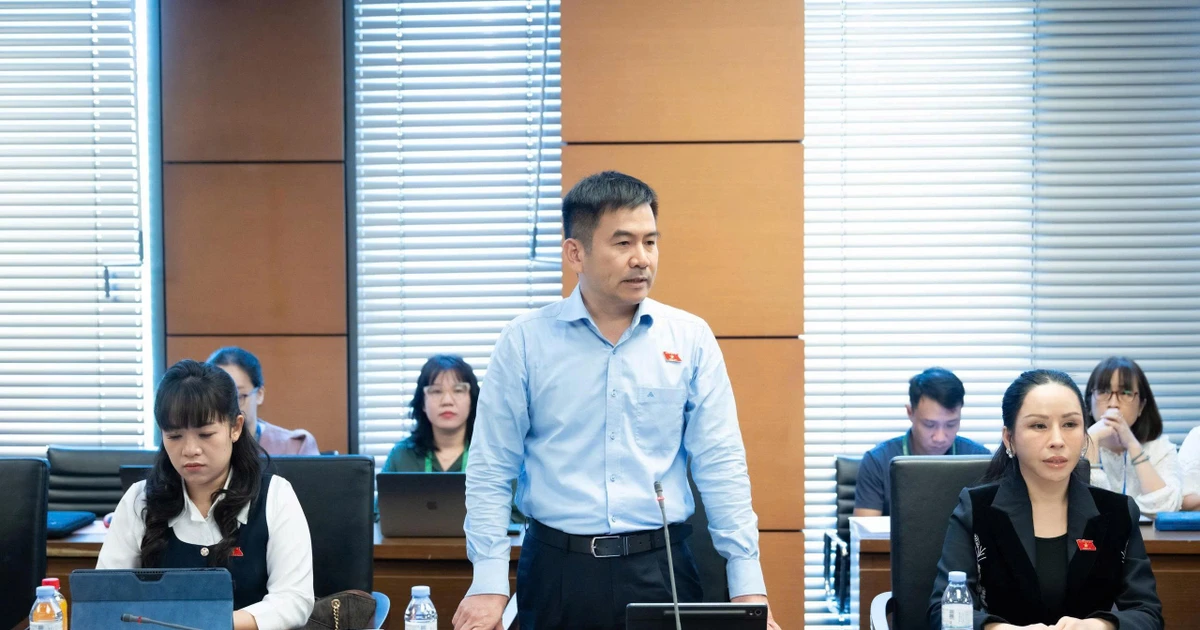 Lan ‘đột biến’, cây cảnh trăm tỷ: Có dấu hiệu rửa tiền không?