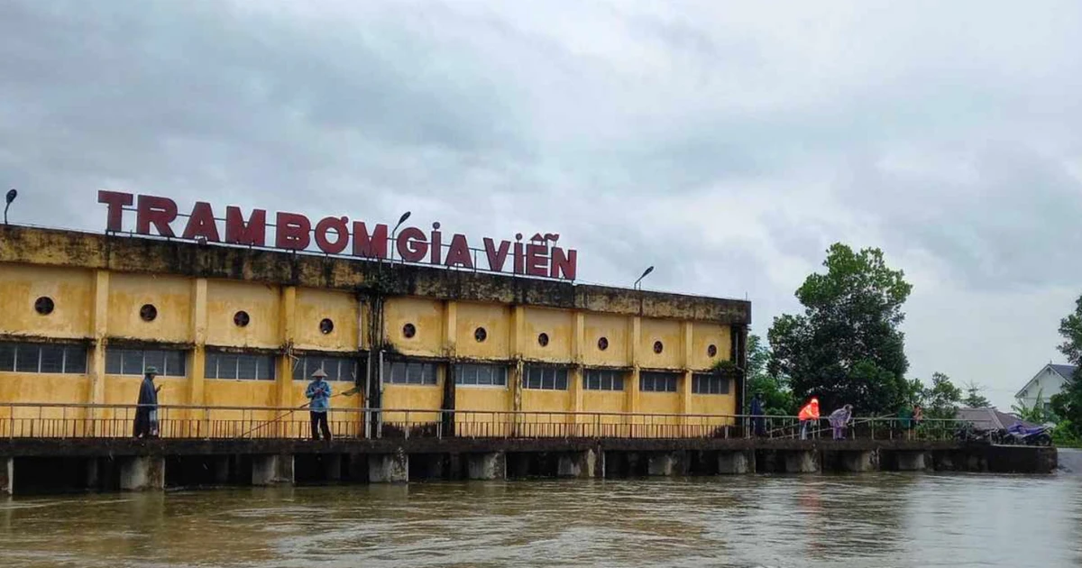 Ninh Bình vận hành 345 máy bơm cứu hơn 70.000 ha lúa bị ngập sâu