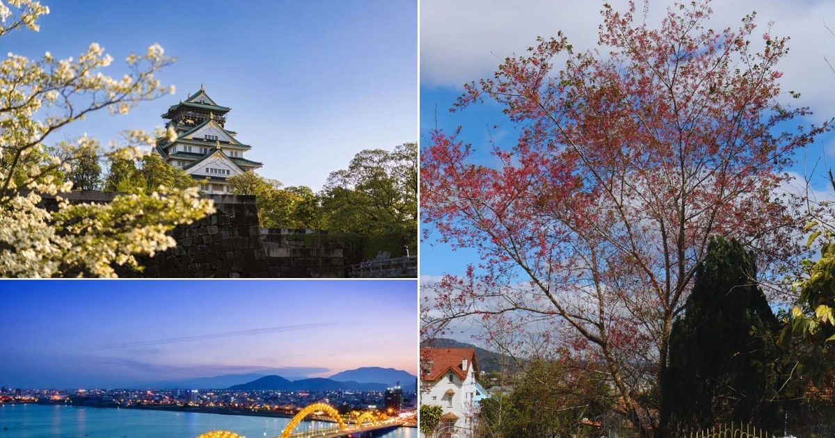 Đà Lạt, Phú Quốc dẫn đầu điểm đến hút khách du Xuân Bính Ngọ