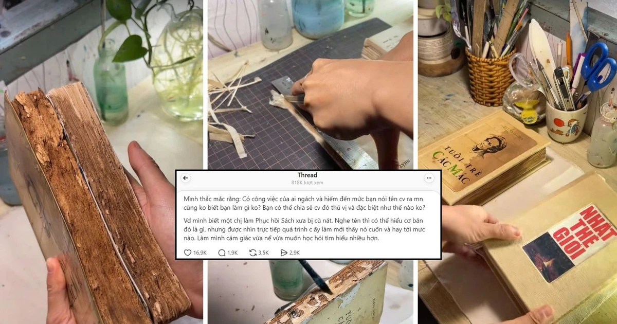 Những công việc hiếm có khó tìm nhưng đầy hứa hẹn: Từ giao báo đến "giải mã" AI