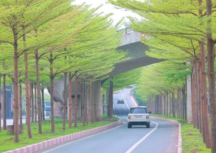 tienphong.vn