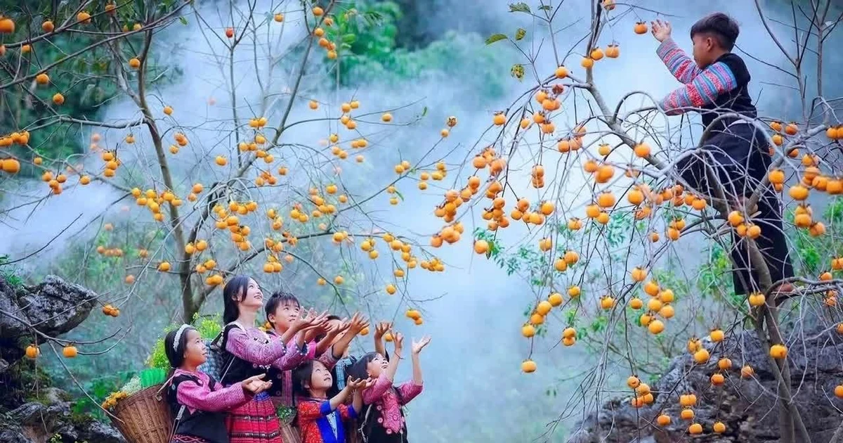 Điều chỉnh quy hoạch Khu du lịch quốc gia Mộc Châu