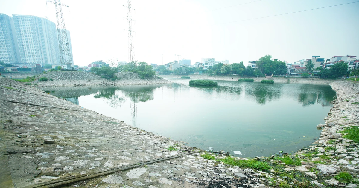 Hồ Hạ Đình ở Hà Nội bị 'bức tử'