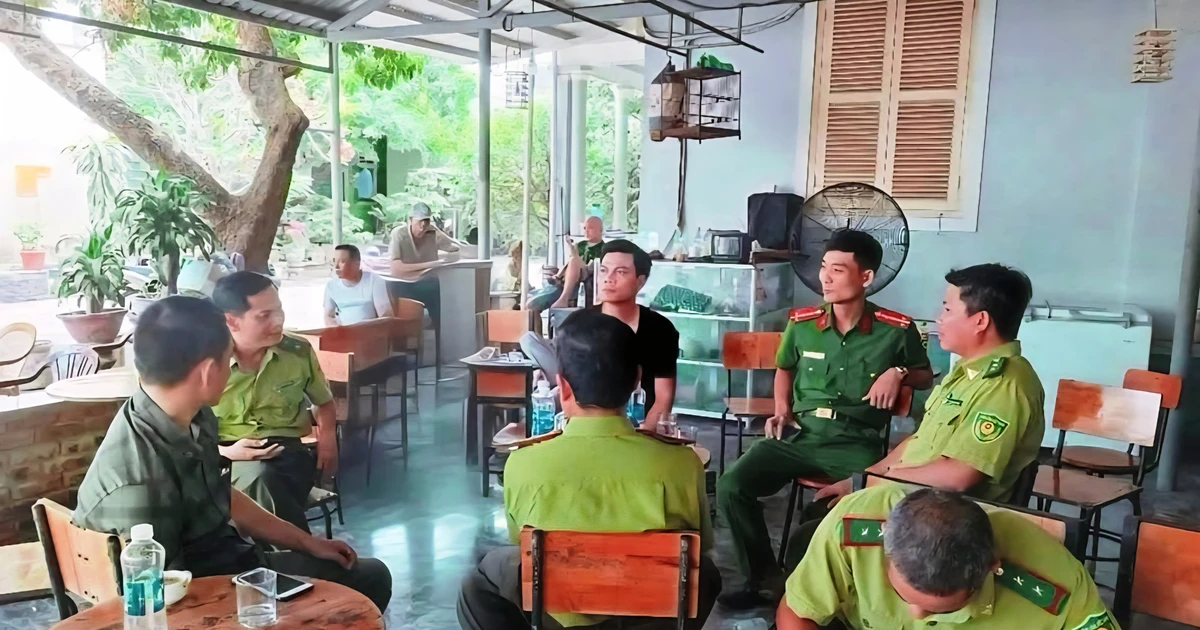 tienphong.vn