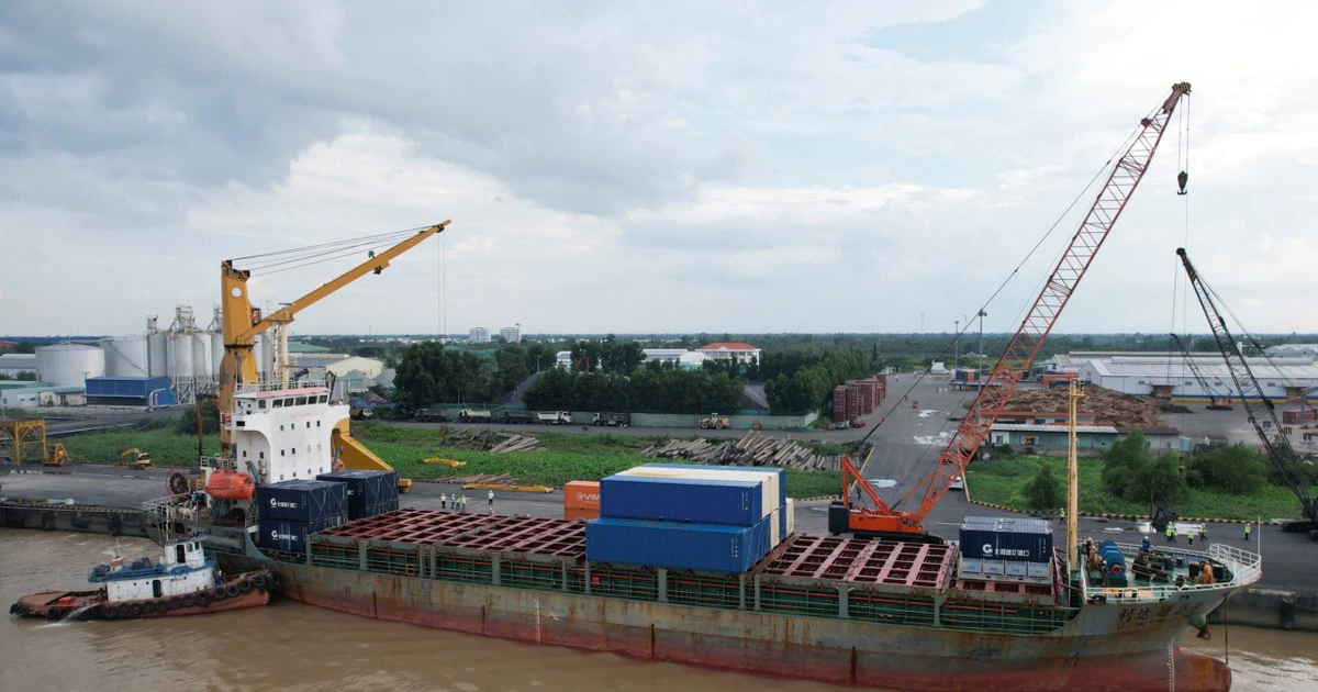 Sắp có tuyến vận tải container nối trực tiếp Cần Thơ - Trung Quốc