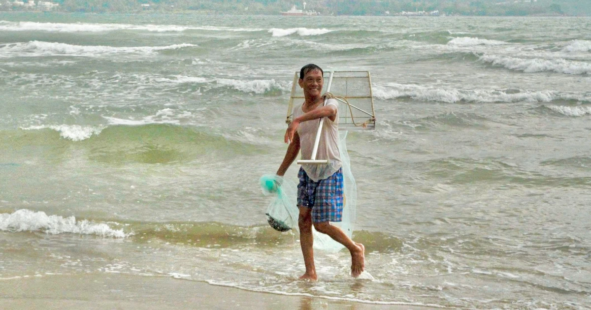 Ốc ruốc vào mùa, ngư dân Đà Nẵng tất bật mưu sinh từ tờ mờ sáng