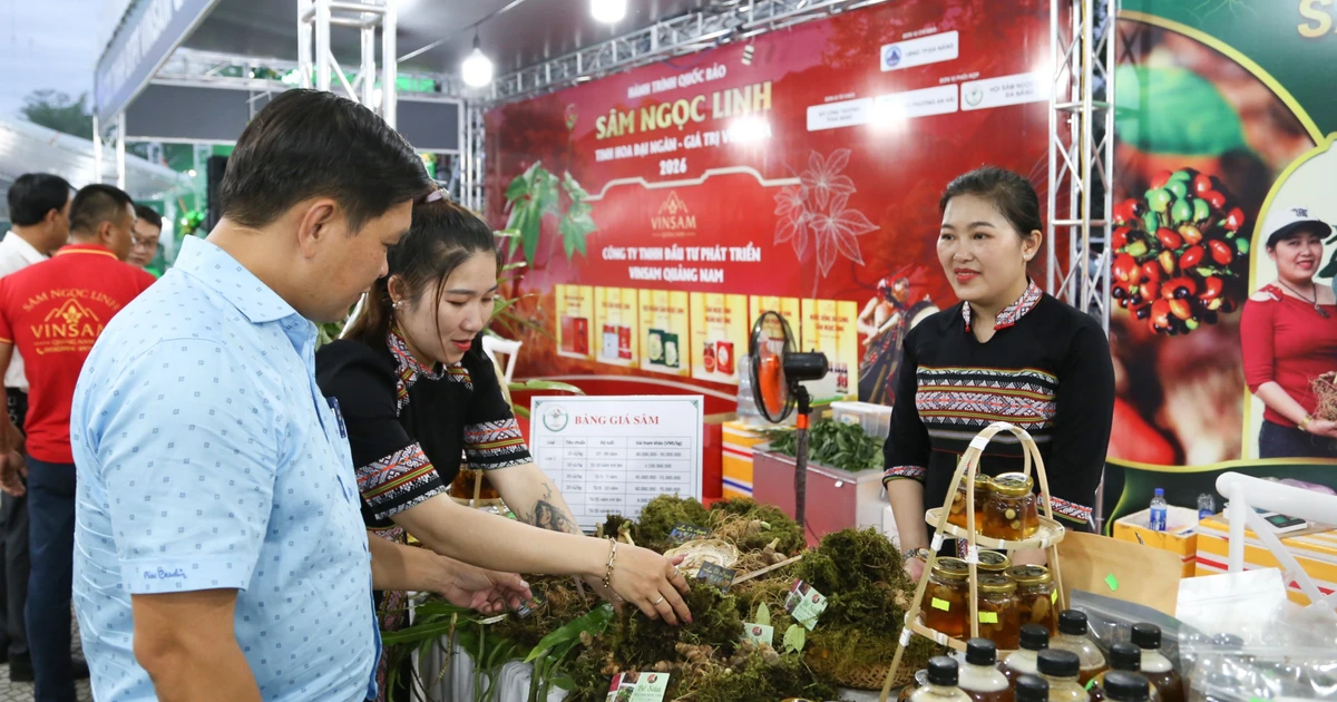 Du khách chen chân đi chợ sâm tiền tỷ bên Cầu Rồng