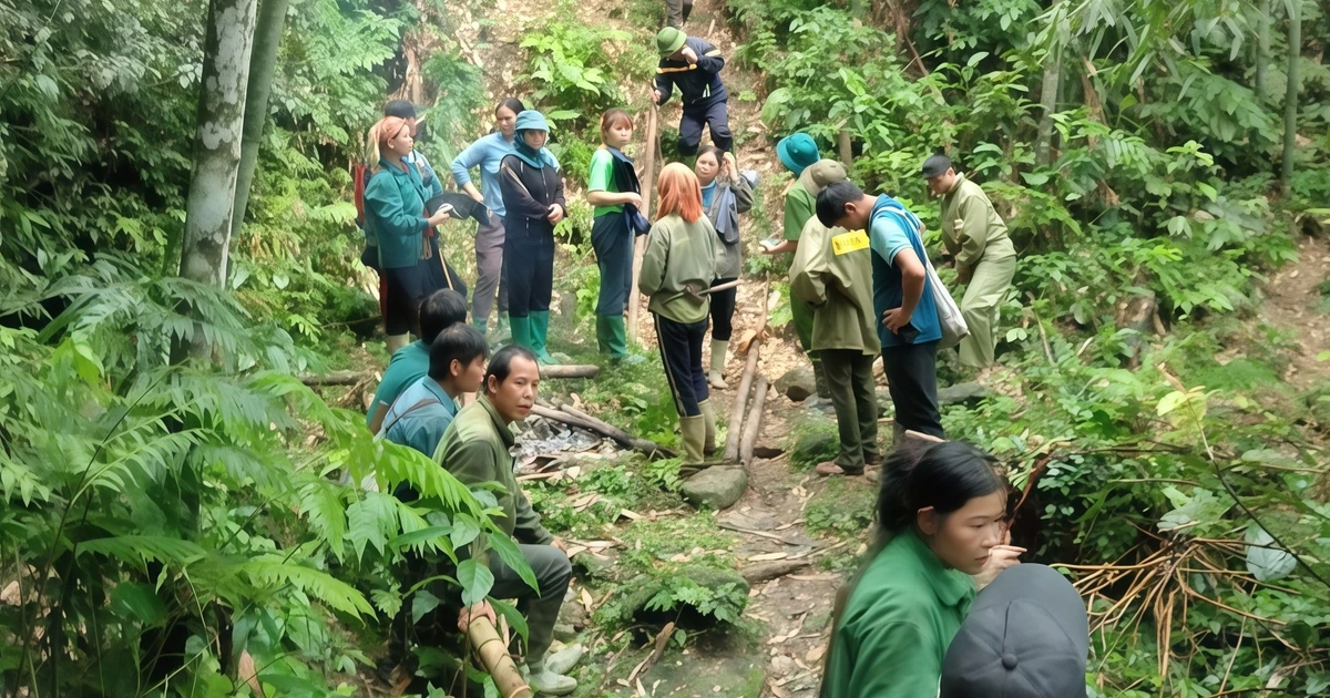 Một người đàn ông mất tích bí ẩn trong rừng ở Tuyên Quang