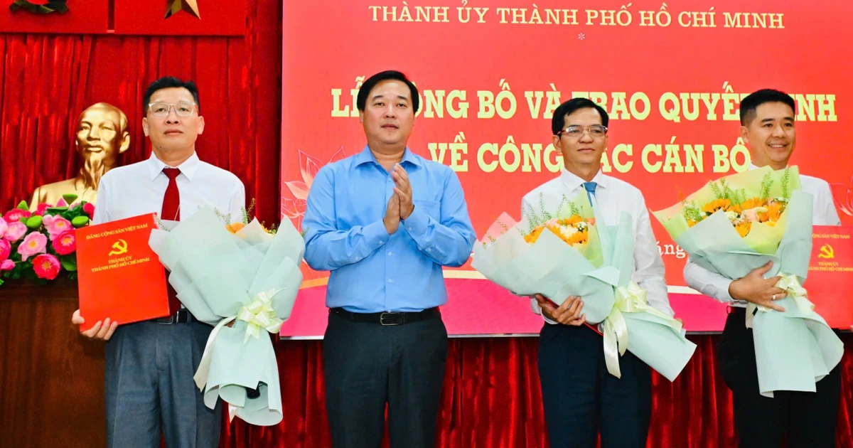 Kiện toàn Ban chấp hành Đảng ủy các cơ quan Đảng TPHCM