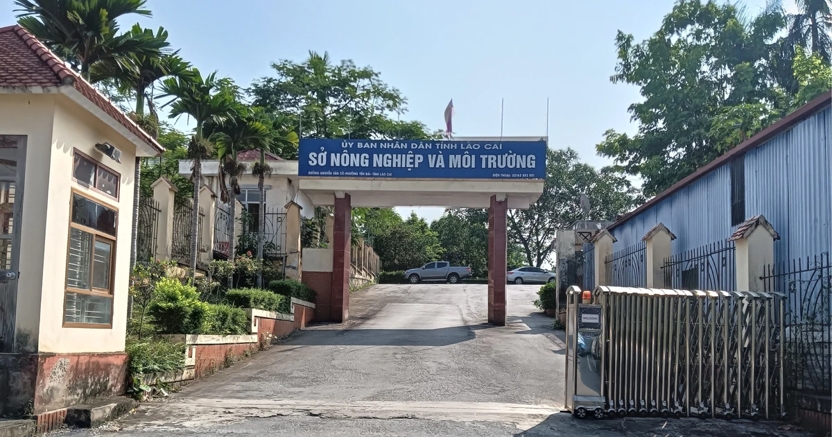 Nam cán bộ Sở Nông nghiệp và Môi trường Lào Cai tử vong tại cơ quan