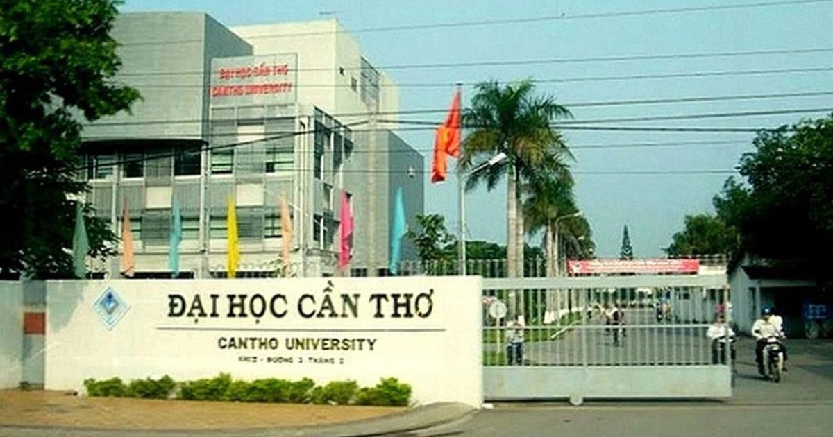 Sáp nhập 2 trường cao đẳng luật vào đại học