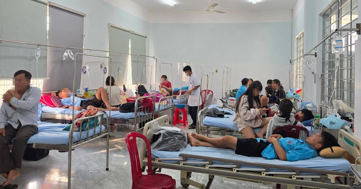 Vụ ngộ độc thực phẩm ở Đắk Lắk: Phát hiện 5 mẫu dương tính vi khuẩn Salmonella