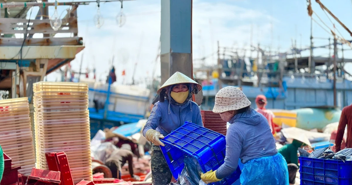 Bước vào thời gian quan trọng gỡ thẻ vàng thủy sản