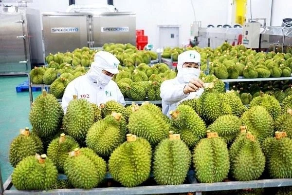 Sầu riêng 'tắc' kiểm nghiệm Cadimi, rớt giá: Đang làm việc với Trung Quốc