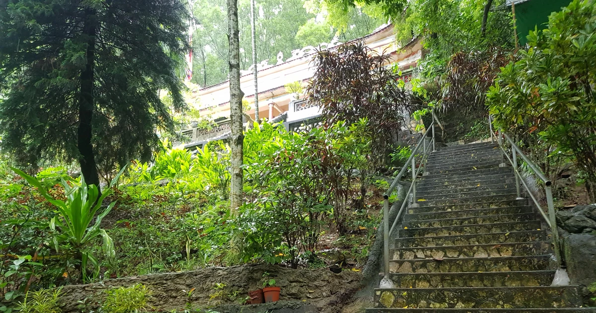 tienphong.vn