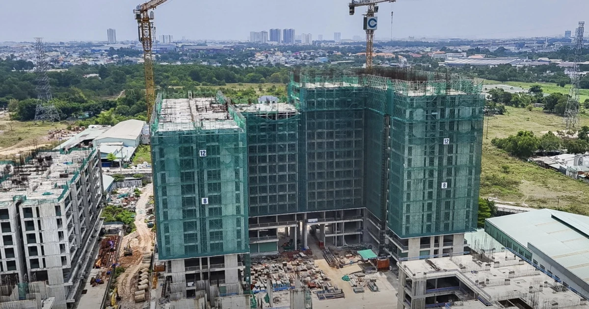 Đến lượt hàng nghìn nhà phố liền kề, biệt thự ở TPHCM được cấp sổ