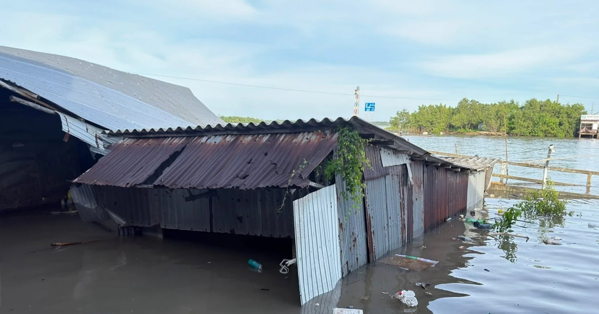 3 vụ sạt lở nghiêm trọng ở Cà Mau