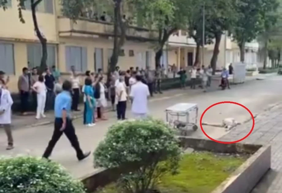 Cụ ông tử vong dưới sân bệnh viện ở Đồng Nai, nghi rơi lầu | Báo điện tử Tiền Phong