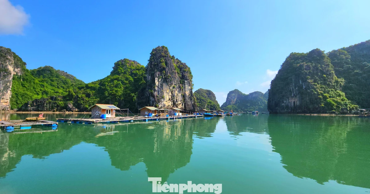 Phê duyệt nhiệm vụ lập quy hoạch bảo tồn, phát huy giá trị vịnh Hạ Long