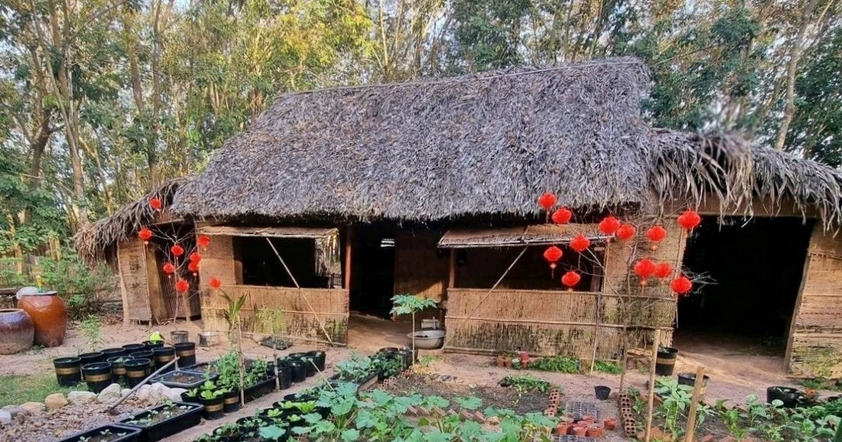 9x Đồng Nai giã từ phố thị, gom gỗ cũ dựng nhà giữa rừng cao su tìm lại tuổi thơ