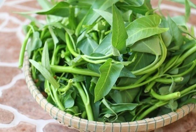 Rau muống chống ung thư, chữa nhiều bệnh tốt như 'thần dược'