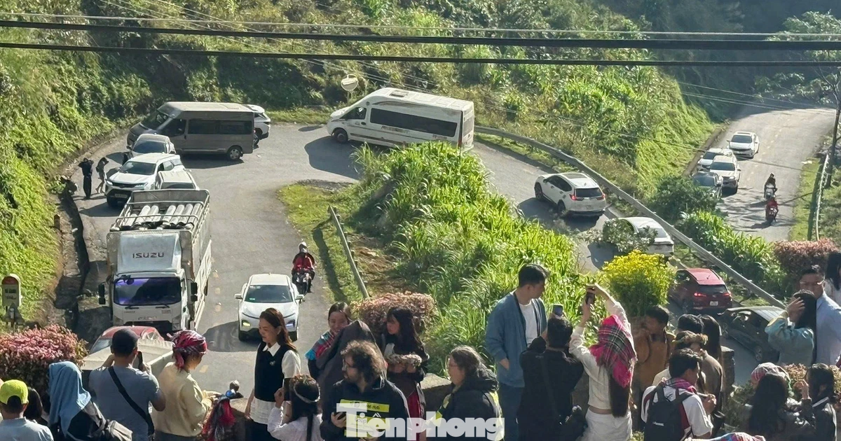 Đường kẹt cứng, khách sạn 'cháy' phòng mùa hoa tam giác mạch