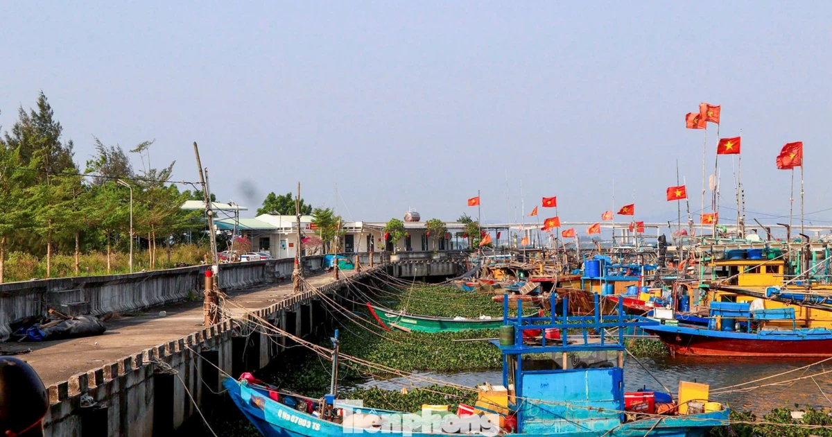 Cảng cá tiền tỷ bỏ hoang, ngư dân Đà Nẵng ngóng ngày vươn khơi
